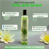 Гель для душа SOFT FOAM Индийский сандал Alt Clean 350 мл