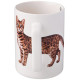 Кружка Lefard 'Bengal cat' 400мл ARTI-M 260-935