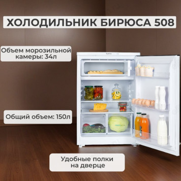 Холодильник БИРЮСА 508