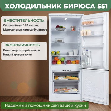 Холодильник БИРЮСА 551