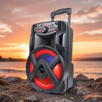 Акустика Bluetooth 20W BLACKTON Bt PBS2111 черный