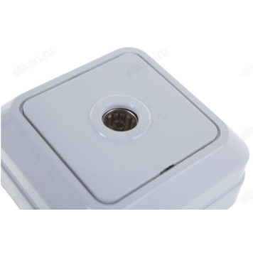 Розетка TV In Home Bolleto 7027, белый-1