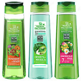 Шампунь для волос ЧИСТАЯ ЛИНИЯ 3 вида, 974-004