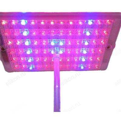 Светильник ФИТО-Чистон-1