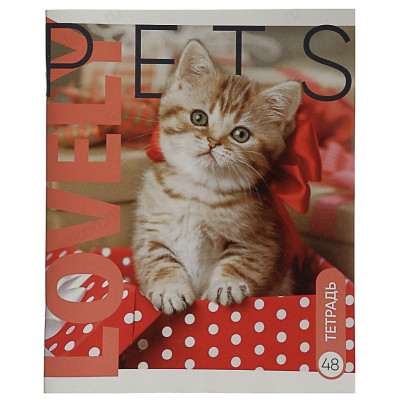 Тетрадь клетка 48л Clipstudio 524-190-1