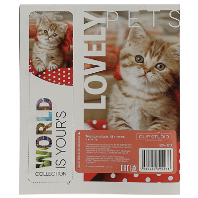 Тетрадь клетка 48л Clipstudio 524-190-3
