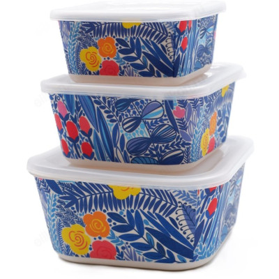 Набор контейнеров DANNY HOME BM01-08 с крышкой 3шт