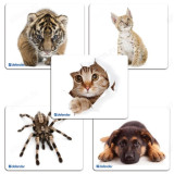 Коврик для мыши DEFENDER шелковый