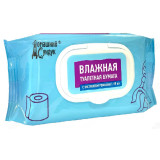 Бумага туалетная влажная Домашний Сундук 60шт ДС-389