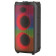 Портативная акустика Eltronic 05 20-42 Fire Box 220, черный