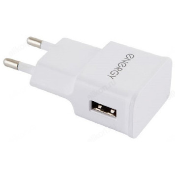 Сетевое зарядное устройство Energy ET-09