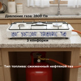 Плита газовая ENERGY EN003 3-х конф