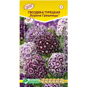 Гвоздика Турецкая Корона Грешницы ЕС 240918 5шт