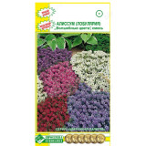 Алиссум Волшебные цвета Евросемена 287682