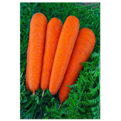 Морковь Витаминная 6 2г Б/П Фазенда Сибири 070978 Морковь Витаминная 6 2г Б/П Фазенда Сибири 070978