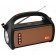радиоприемник Fepe FP-03-W (USB,Bluetooth)