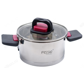 Кастрюля FESSLE F-01802-22