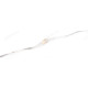 Гирлянда светодиодная Нить, SE-STRING-550W, 5м, 50 LED, холодный белый, 3*АА, серебр. шнур 0,3м, Fun