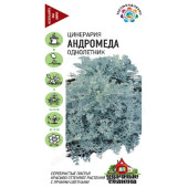 Цинерария Андромеда Гавриш УДС 029613