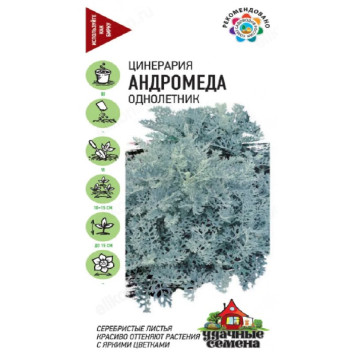 Цинерария Андромеда Гавриш УДС 029613