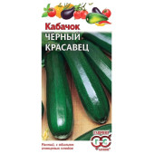 Семена кабачок Черный красавец 2г Б/П Гавриш Семена кабачок Черный красавец 2г Б/П Гавриш