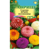 Семена георгина Яркие помпоны 0,2г Гавриш Семена георгина Яркие помпоны 0,2г Гавриш