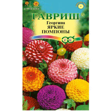 Семена георгина Яркие помпоны 0,2г Гавриш