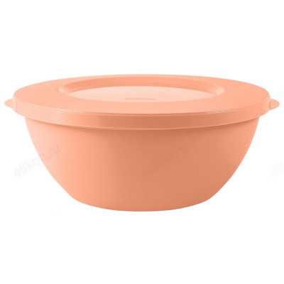 Миска с крышкой HELSINKI 1л 861-324 пластик-1