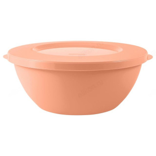 Миска с крышкой HELSINKI 3л 861-326 пластик-1