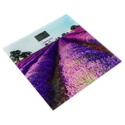 Весы напольные (004545) HOMESTAR HS-6001G