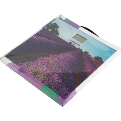 Весы напольные (004545) HOMESTAR HS-6001G-2