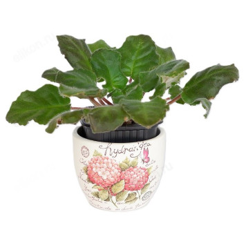 Кашпо для цветов INBLOOM Цветы 164-357 микс-2