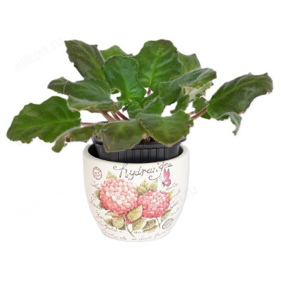 Кашпо для цветов INBLOOM Цветы 164-357 микс-2