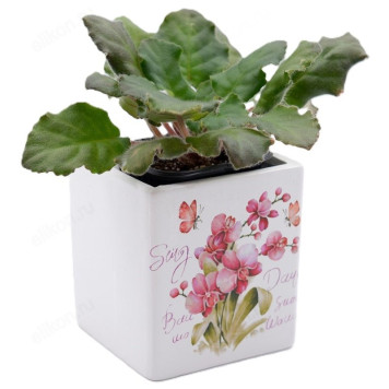 Кашпо для цветов INBLOOM Цветы керамика 164-358-1