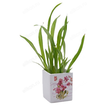 Кашпо для цветов INBLOOM Цветы керамика 164-358-3