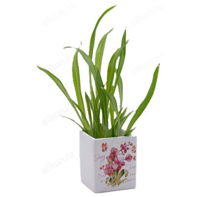 Кашпо для цветов INBLOOM Цветы керамика 164-358-3