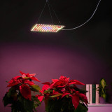 Лампа ФИТО подвесная INBLOOM 185-088