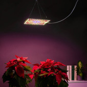 Лампа ФИТО подвесная INBLOOM 185-088