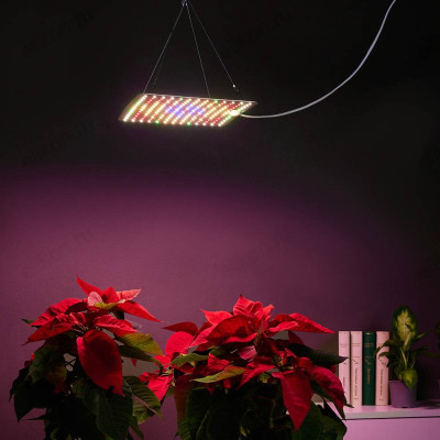 Лампа ФИТО подвесная INBLOOM 185-088