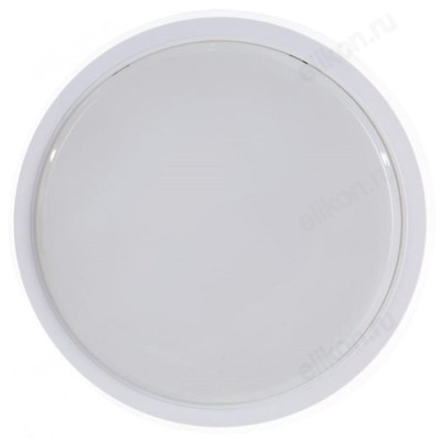 Светильник светодиодный СПБ-2-КРУГ 20Вт 230В 4000К 1400лм 250мм белый IN HOME-1
