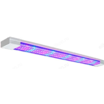 Светильник СПБ-110-ФИТО 55Вт 1200мм IN HOME-1