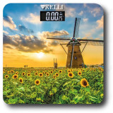 Весы напольные KELLI KL-1512 180кг