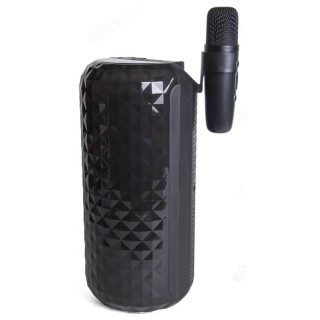 Беспроводная колонка с караоке B52 