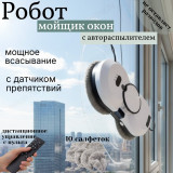 Мойщик окон RD1