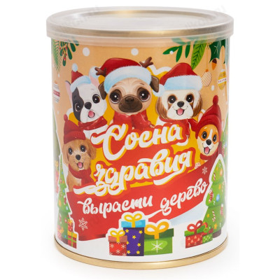 Набор для выращивания Хвойные ж/б 179-086-4