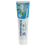 Паста зубная Освежающая мята 100мл арт2974/3157