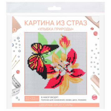 Картина из страз Улыбка природы 366-190-7