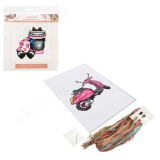 Набор для вышивания 366-209