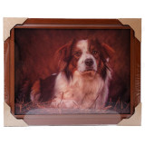 Картина 5D DS835/1 №1 "Собака на сене"