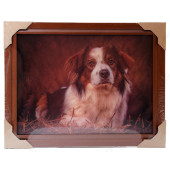 Картина 5D DS835/1 №1 "Собака на сене"